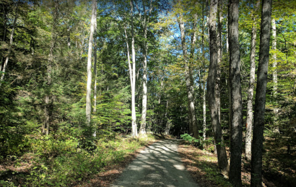 Algonquin_State_Forest